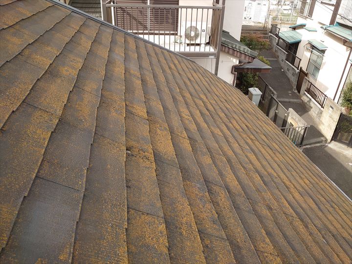 藻が繁殖した屋根面