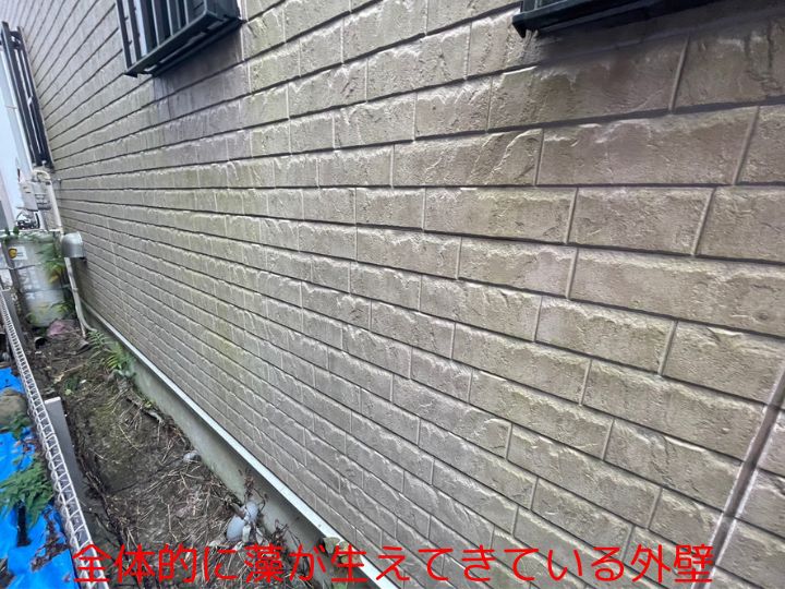 全体的に藻が生えてきている外壁