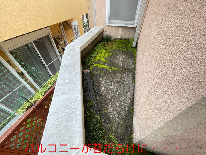 バルコニーが苔だらけに・・・