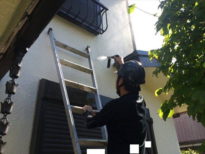 ハシゴを使用した作業の様子