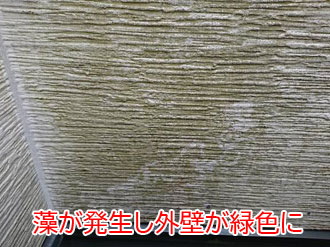 横須賀市太田和で藻で緑がかった窯業系サイディングのお住まいを調査。塗装、コーキングの重要性について解説。