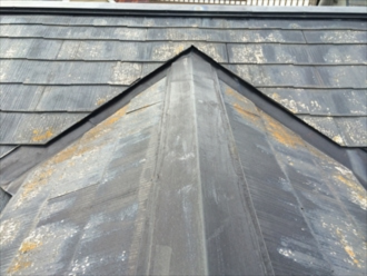 ドーマーの谷部分