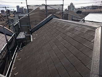 苔やカビが多く散見される化粧スレート屋根