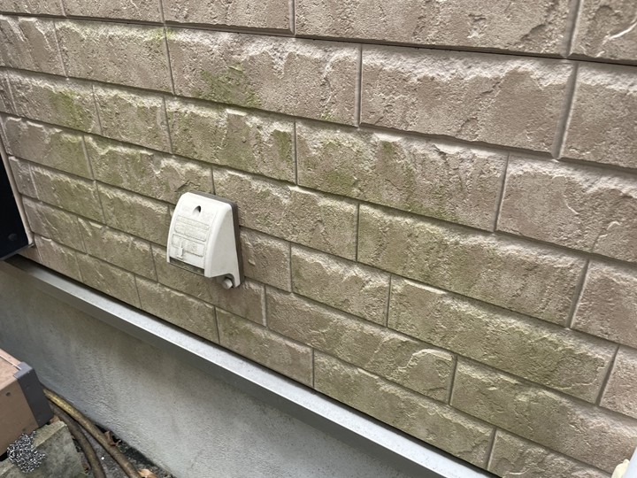 苔の生えてきた外壁