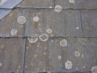 カビの繁殖は、屋根材のはっ水効果、塗膜が傷んで雨水を吸いやすい状態になっているということ