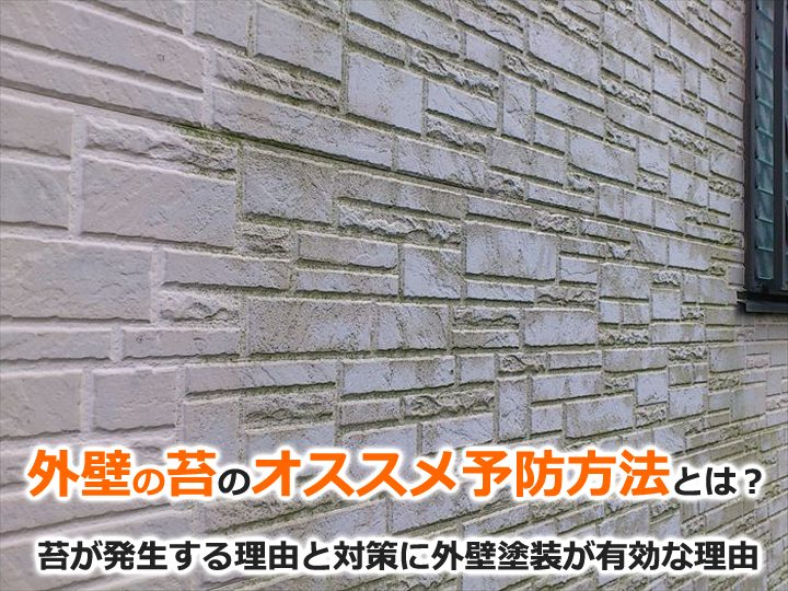 外壁の苔のオススメ予防方法とは？苔が発生する理由と対策に外壁塗装が有効な理由