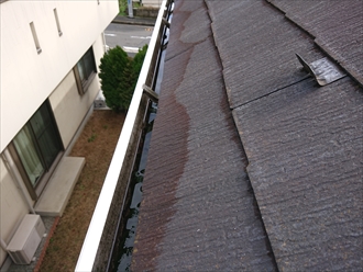 部分的ではなく北側に設置してある雨樋に関わる屋根全てが変色して屋根表面がジメジメしています。
