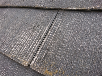 横浜市金沢区富岡東にて屋根調査、塗膜が劣化したスレートには多く苔やカビが繁殖しスレート自体を傷めてしまいますので塗装が必要です