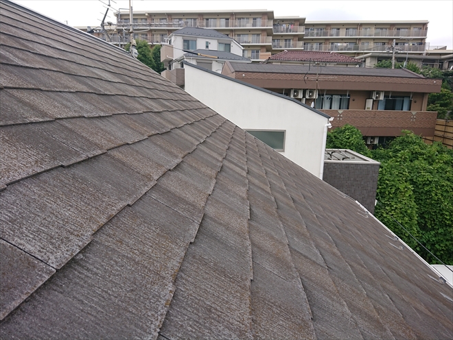 急勾配にも関わらず屋根にはカビなどの汚れが多く繁殖してしまっている