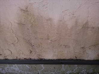 じめじめと常に湿っている北面のモルタル外壁