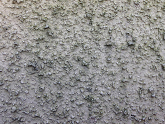川崎市幸区　リシンの壁は汚れが付着しやすい