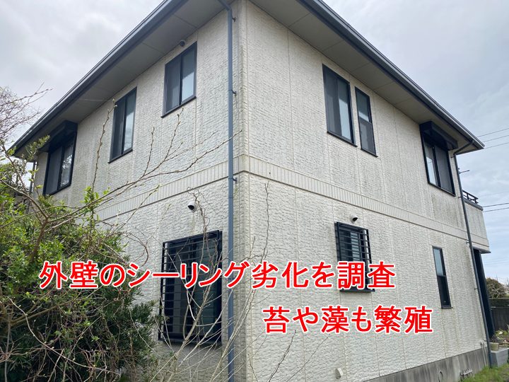 平塚市小鍋島で外壁のシーリング劣化を調査。シーリング打ち替えと外壁塗装をご提案