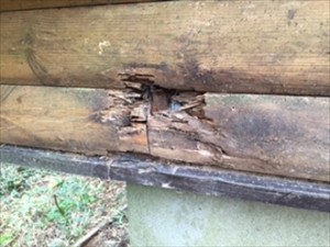 木製の外壁に穴