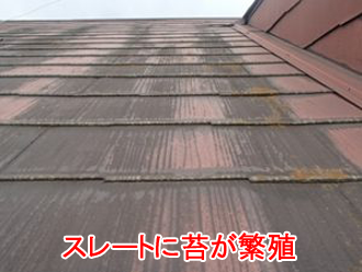 横浜市神奈川区西寺尾で苔が目立つというスレート屋根を調査。遮熱塗料でお住まいを快適に！