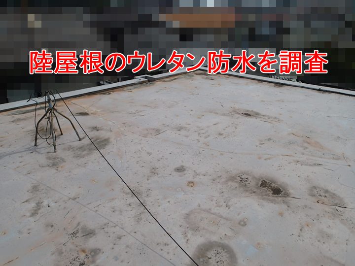 逗子市桜山で雨漏りが発生した陸屋根のウレタン防水を調査。クラックや色褪せが進行していました
