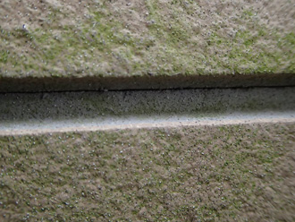 平塚市 外壁塗装前の調査　苔が生えた外壁