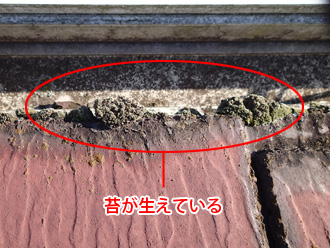 横浜市金沢区 屋根塗装前点検　軒先に生えた苔