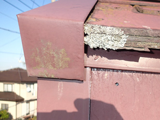 横浜市金沢区 屋根塗装前点検　板金付近に生えた苔