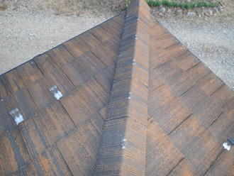 川崎市多摩区　外壁塗装前の点検　屋根に生えた苔