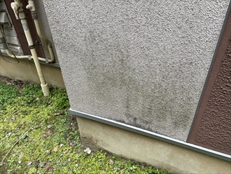 川崎市麻生区下麻生でリシン吹き付け仕上げのモルタル外壁を調査してきました
