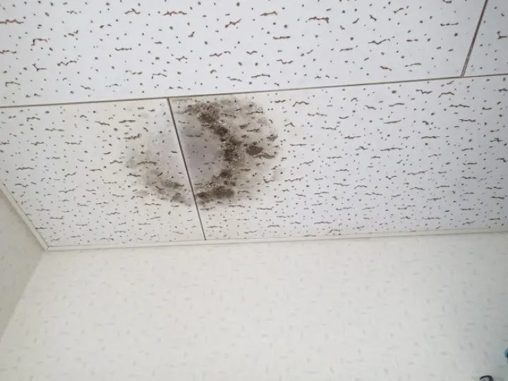 天井のカビ