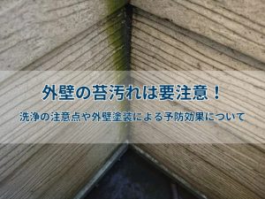 外壁の苔汚れは要注意!洗浄の注意点や外壁塗装による予防効果について