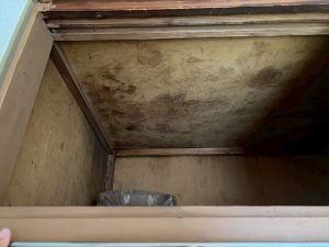 押入れにも雨漏りの跡が