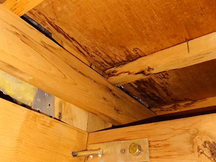 小屋裏の雨漏り跡