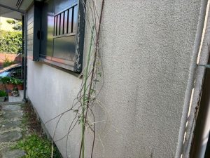 外壁の汚れ