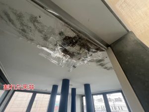 雨漏りによる被害