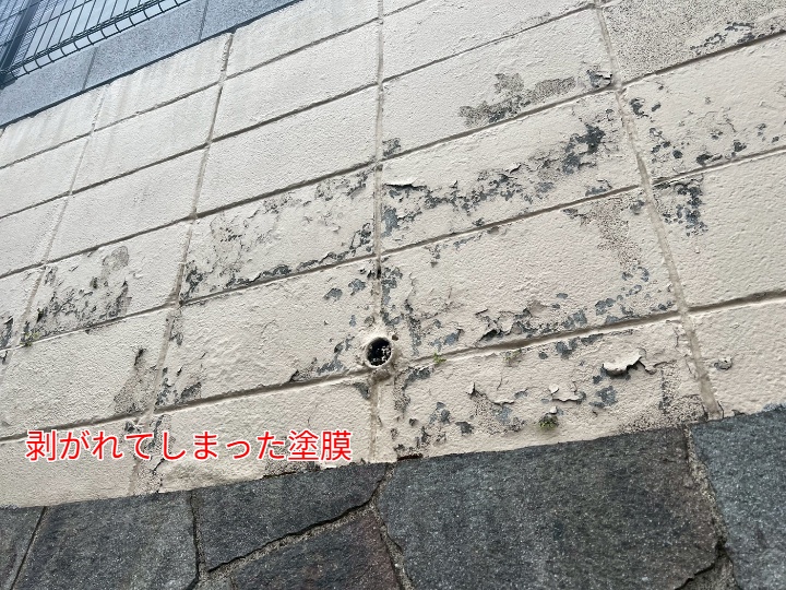 剥がれた塗膜
