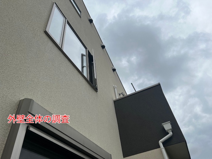 全体像