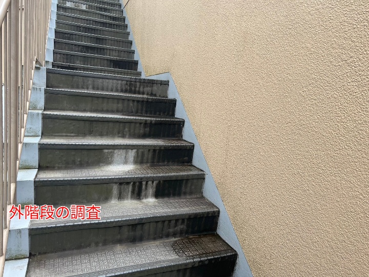 全体像