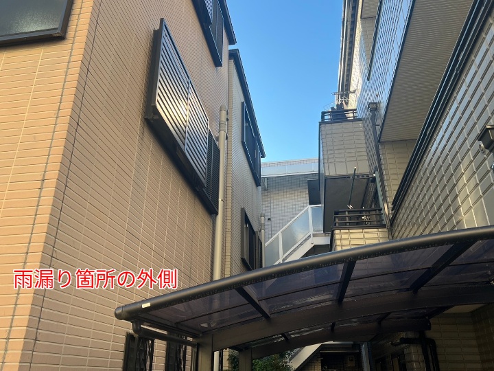 全体像