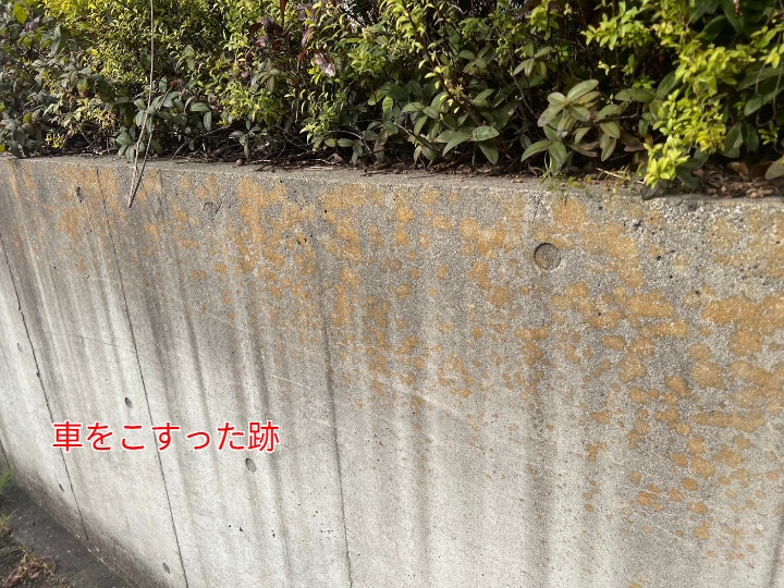傷跡