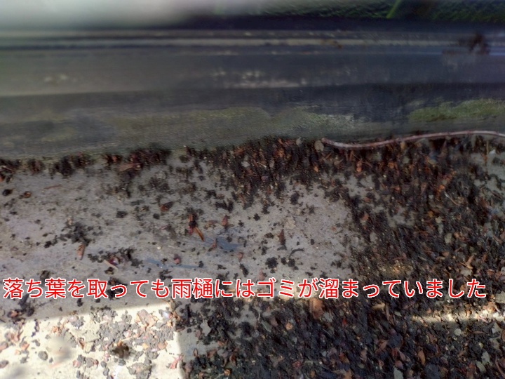 ゴミ