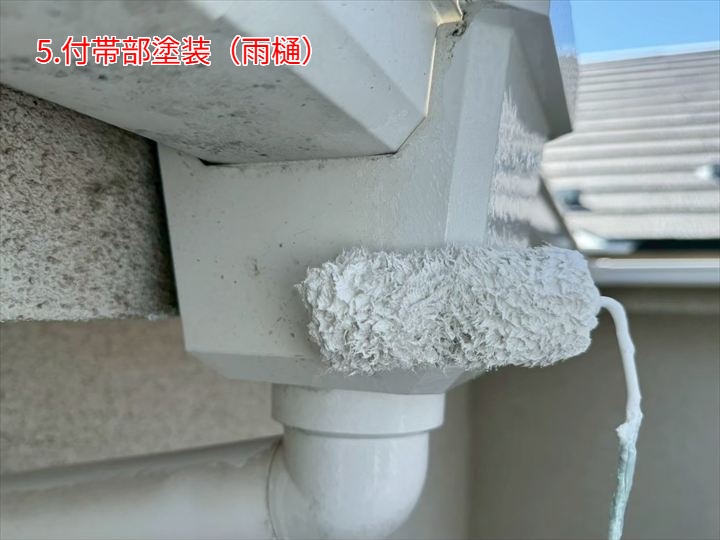 雨樋