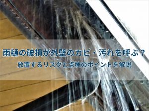 雨樋の破損が外壁のカビ・汚れを呼ぶ？放置するリスクと点検のポイントを解説
