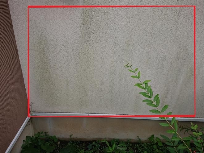 リシン仕上げの外壁は藻が繁殖している事が多い