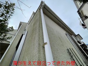 藻が生えて目立ってきた外壁
