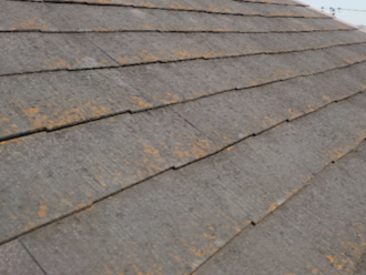 苔が生えている屋根