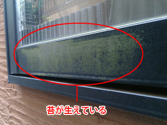 横浜市青葉区　外壁塗装前の点検　サッシに苔が生えている
