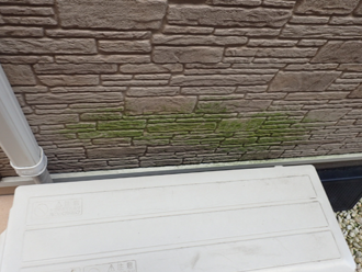 藻で緑色に変色した窯業サイディング外壁