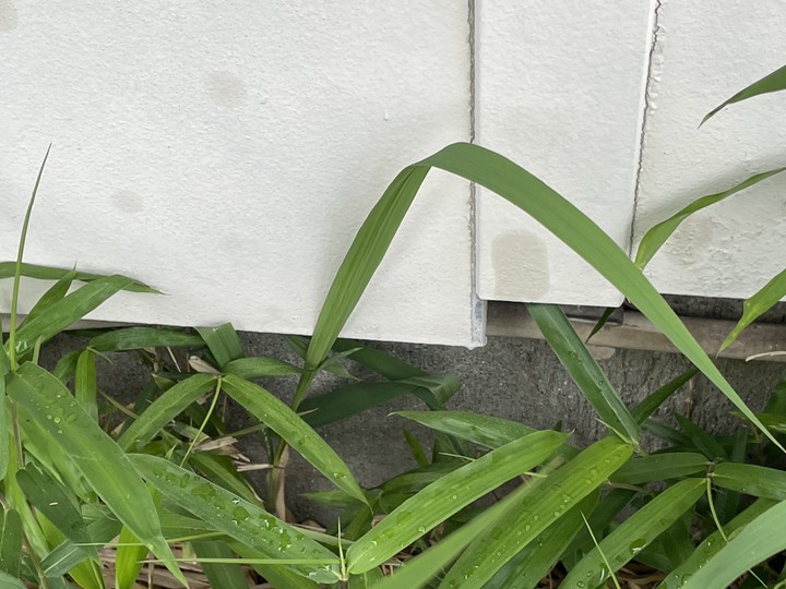 外壁のボードがずれていました