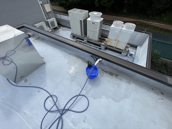 散水調査