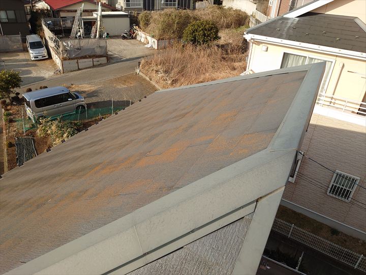 苔や藻が広がる屋根面