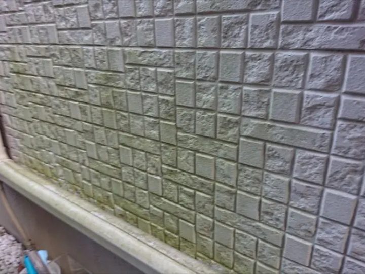 苔が繁殖している外壁材