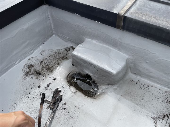 排水口の掃除