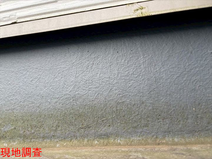現地調査