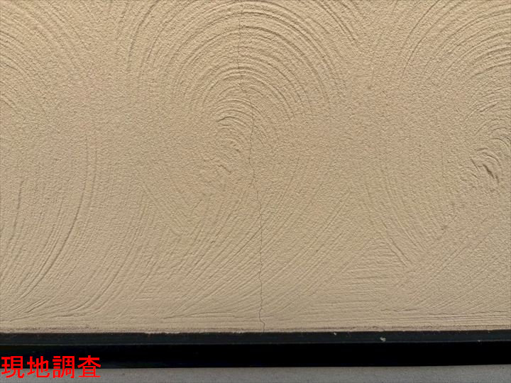 現地調査